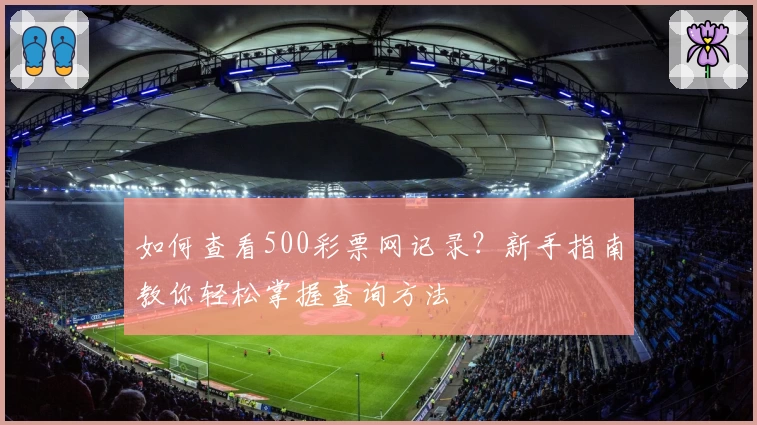 如何查看500彩票网记录？新手指南教你轻松掌握查询方法