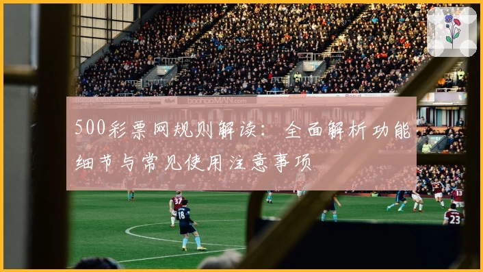500彩票网规则解读：全面解析功能细节与常见使用注意事项