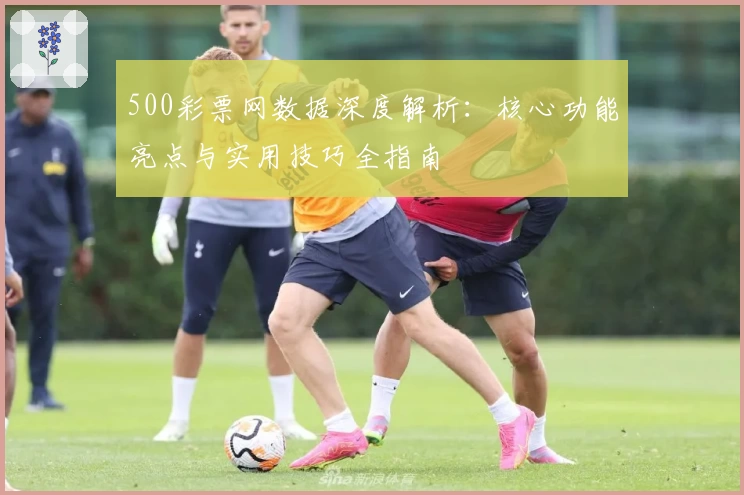 500彩票网数据深度解析：核心功能亮点与实用技巧全指南