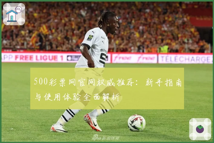 500彩票网官网权威推荐：新手指南与使用体验全面解析