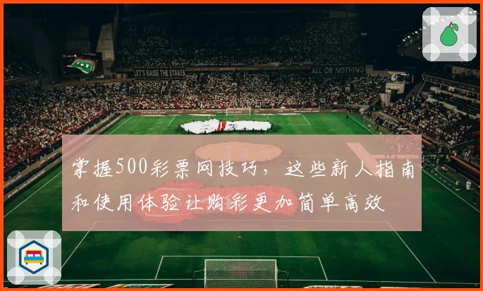 掌握500彩票网技巧，这些新人指南和使用体验让购彩更加简单高效