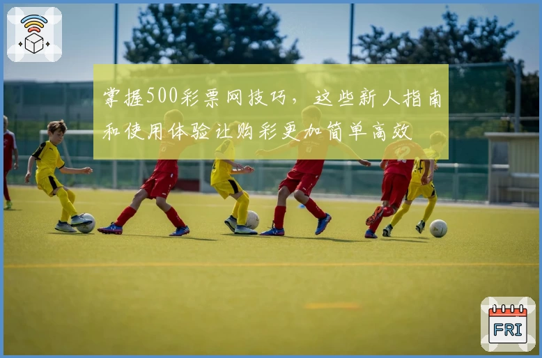 掌握500彩票网技巧，这些新人指南和使用体验让购彩更加简单高效