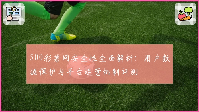500彩票网安全性全面解析：用户数据保护与平台运营机制评测